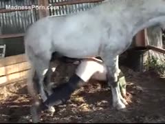 German milf enjoys fucking hard with large horse ramrods
